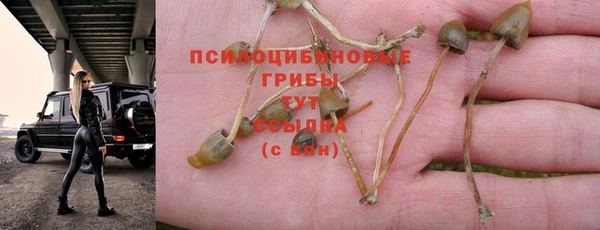 гашиш Балахна