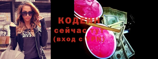 хмурый Инта
