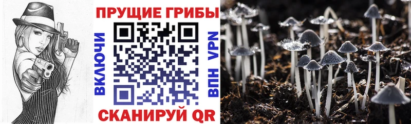 Галлюциногенные грибы мухоморы  где можно купить наркотик  Макушино 